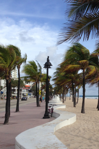 Things To Do In Fort Lauderdale